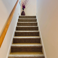 Coliving in Research Triangle Park - Durham, Raleigh