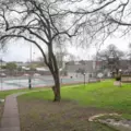 Coliving in South Congress - South Central Austin, Austin