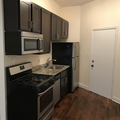 1 bedroom apartment for rent in Lower West Side - West Side, Chicago