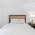 Coliving in Forest Hills Tampa - North Tampa, Tampa