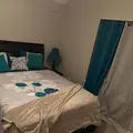 Coliving in Spring - Ne Houston, Houston