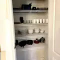 Coliving in Kissimmee - South Orlando, Orlando