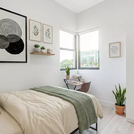 Coliving in Downtown Miami - Miami, Miami