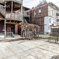 Studio Apartment for rent in Little Italy/Uic - Central, Chicago