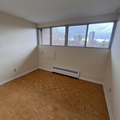1 bedroom apartment for rent in Sandy Hill - Central Ottawa, Ottawa