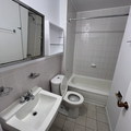 1 bedroom apartment for rent in Sandy Hill - Central Ottawa, Ottawa