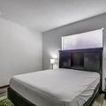 Coliving in Land O' Lakes - North Tampa, Tampa
