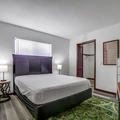 Coliving in Land O' Lakes - North Tampa, Tampa