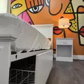 Coliving in Greater Third Ward - Inner Loop, Houston