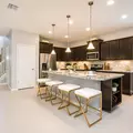 Coliving in Kissimmee - South Orlando, Orlando