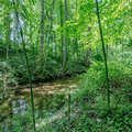 Coliving in West Winston-Salem - Winston-Salem, Greensboro