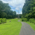 Coliving in Woodcroft - Durham, Raleigh