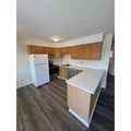 2 bedrooms apartment for rent in West Colfax - West Denver, Denver