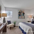 1 bedroom apartment for rent in Virginia Village - East Denver, Denver