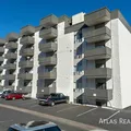 1 bedroom apartment for rent in Virginia Village - East Denver, Denver