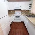 1 bedroom apartment for rent in University City - North SD, San Diego
