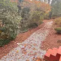 Coliving in Lawrenceville GA - East Atl, Atlanta