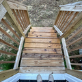 Coliving in Trinity Park - Durham, Raleigh