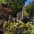 2 bedrooms apartment for rent in East Falls - Nw Philadelphia, Philadelphia