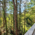 Coliving in Roswell - North Atl, Atlanta