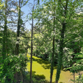 Coliving in Roswell - North Atl, Atlanta