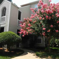 Coliving in Wade - Central Raleigh, Raleigh