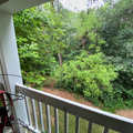 Coliving in Wade - Central Raleigh, Raleigh