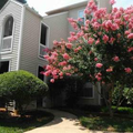 Coliving in Wade - Central Raleigh, Raleigh