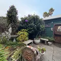 1 bedroom apartment for rent in Cole Valley - San Francisco, San Francisco