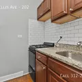 1 bedroom apartment for rent in Oakland Chicago - South Side, Chicago