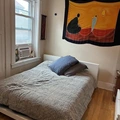 1 bedroom apartment for rent in Centretown - Central Ottawa, Ottawa