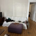 1 bedroom apartment for rent in Centretown - Central Ottawa, Ottawa