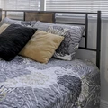 Coliving in Macfarlane Park - West Tampa, Tampa