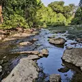 Coliving in Round Rock - North Austin, Austin