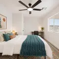 Coliving in North Mountain - Phoenix, Phoenix