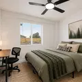 Coliving in North Mountain - Phoenix, Phoenix