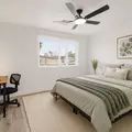 Coliving in North Mountain - Phoenix, Phoenix