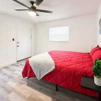 Coliving in Clearwater - Clearwater-St. Petersburg, Tampa