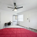 Coliving in Clearwater - Clearwater-St. Petersburg, Tampa