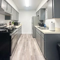 Coliving in Clearwater - Clearwater-St. Petersburg, Tampa