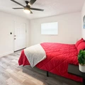 Coliving in Clearwater - Clearwater-St. Petersburg, Tampa