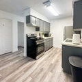Coliving in Clearwater - Clearwater-St. Petersburg, Tampa