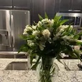 Coliving in Hampton - VA Peninsula, Virginia Beach