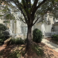 Coliving in Ballantyne - South Charlotte, Charlotte
