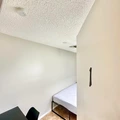 Coliving in Land O' Lakes - North Tampa, Tampa