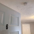 Coliving in Fort Lauderdale - Broward County, Miami