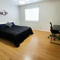 Coliving in Winsdor Park - West Houston, Houston