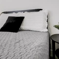 Coliving in Grant Park Tampa - East Tampa, Tampa