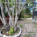 2 bedrooms apartment for rent in The Meadows - Sarasota, Sarasota