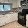 2 bedrooms apartment for rent in Carrollwood - North Tampa, Tampa